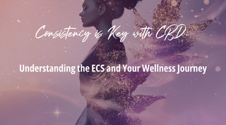 Consistency is Key with CBD: Understanding the ECS and Your Wellness