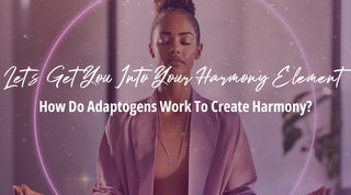 How Do Adaptogens Work to Create Harmony?