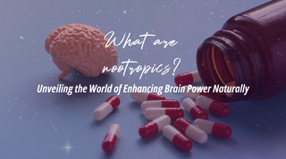 Unveiling the World of Nootropics: Enhancing Brain Power Naturally